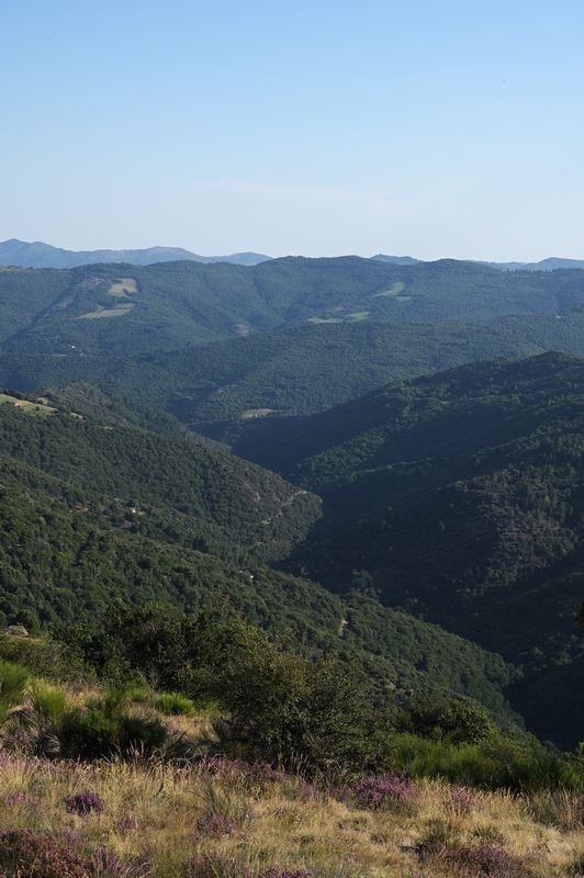 Cévennes.