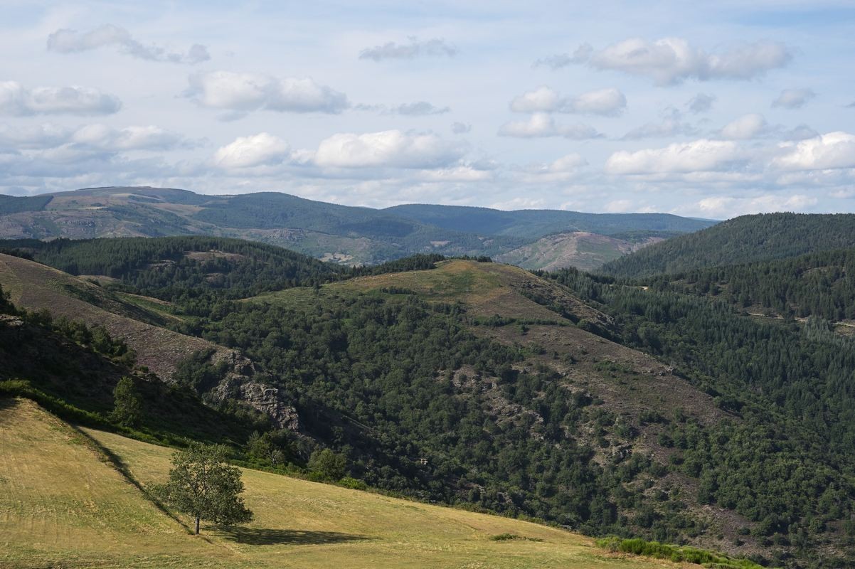 Paysages des cévennes.