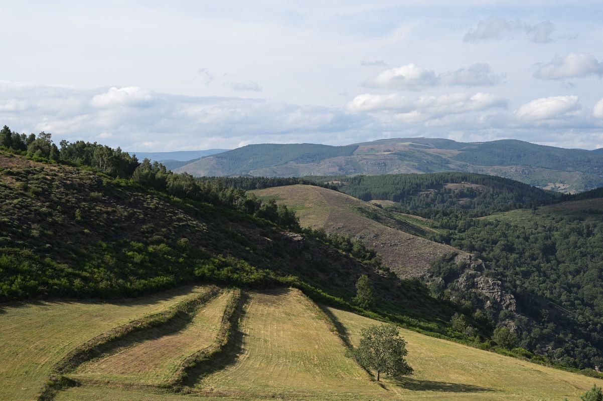 Paysages des cévennes.