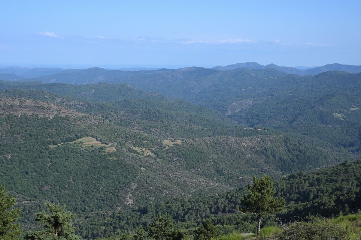 Paysages des cévennes.