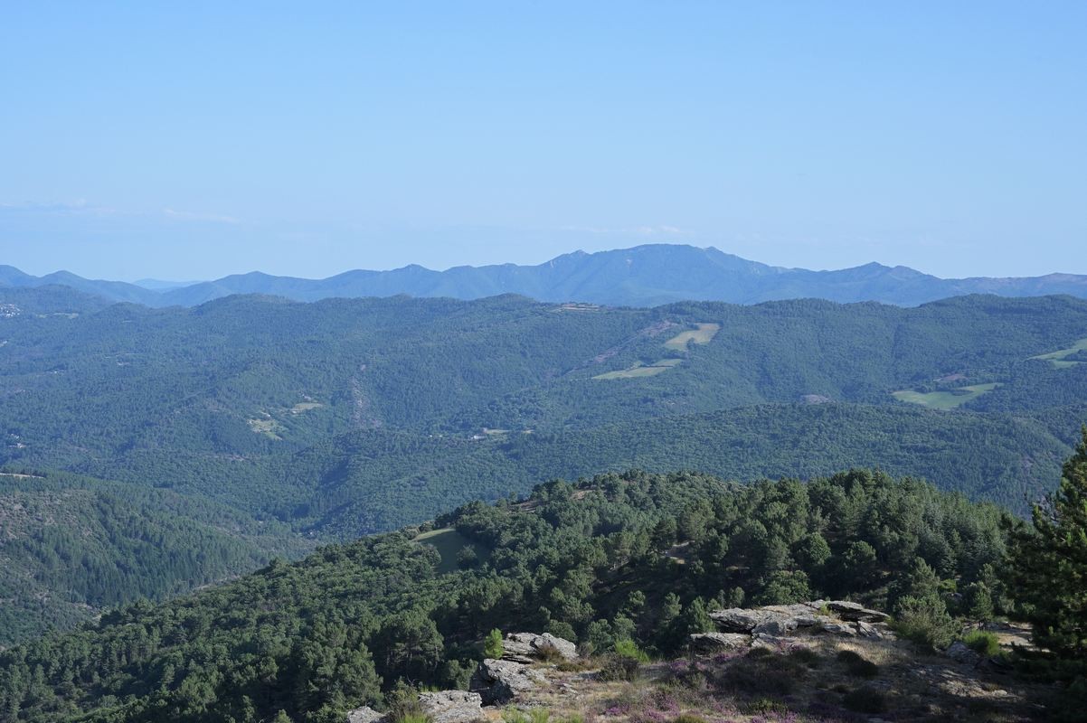 Paysages des cévennes.