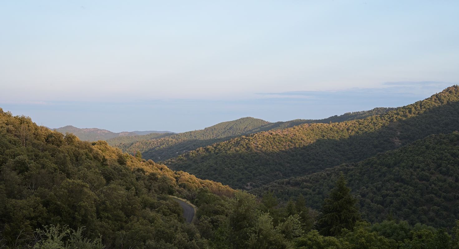 Paysages des cévennes.