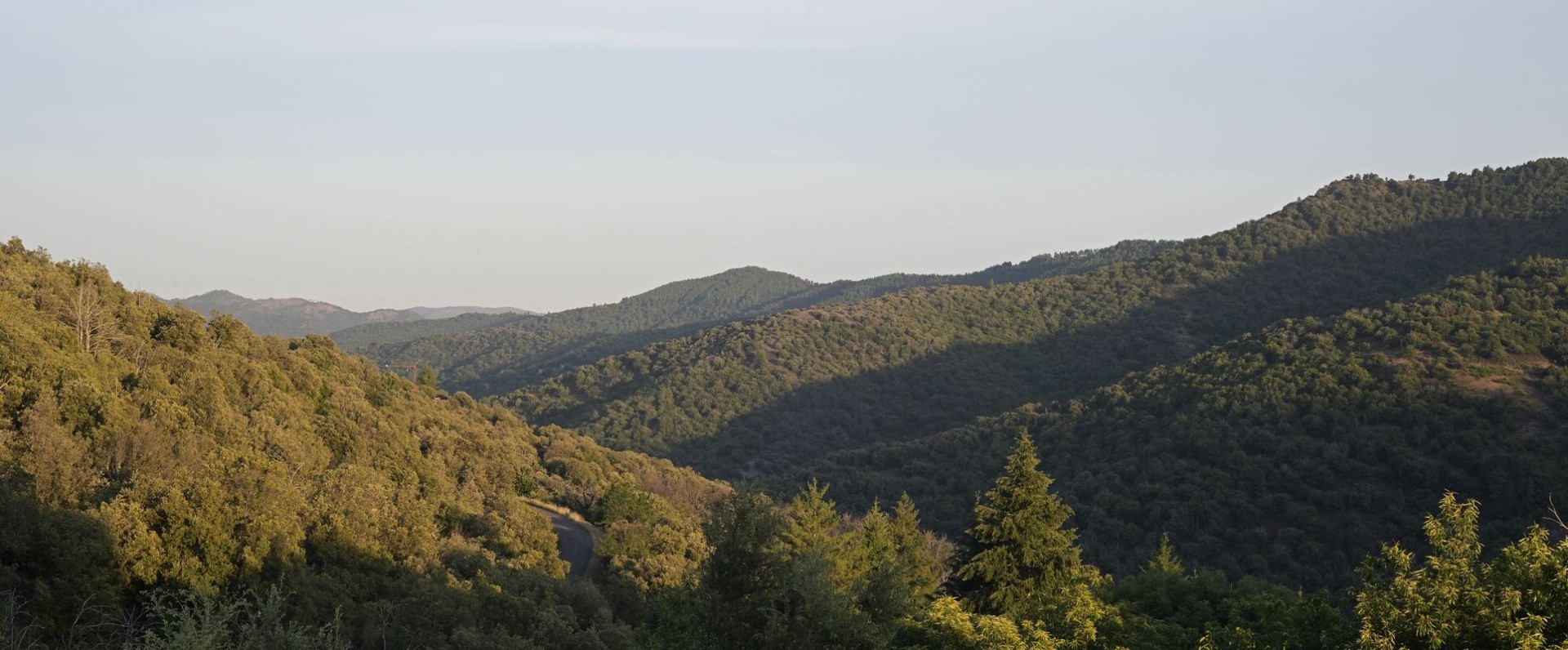 Paysages des cévennes.