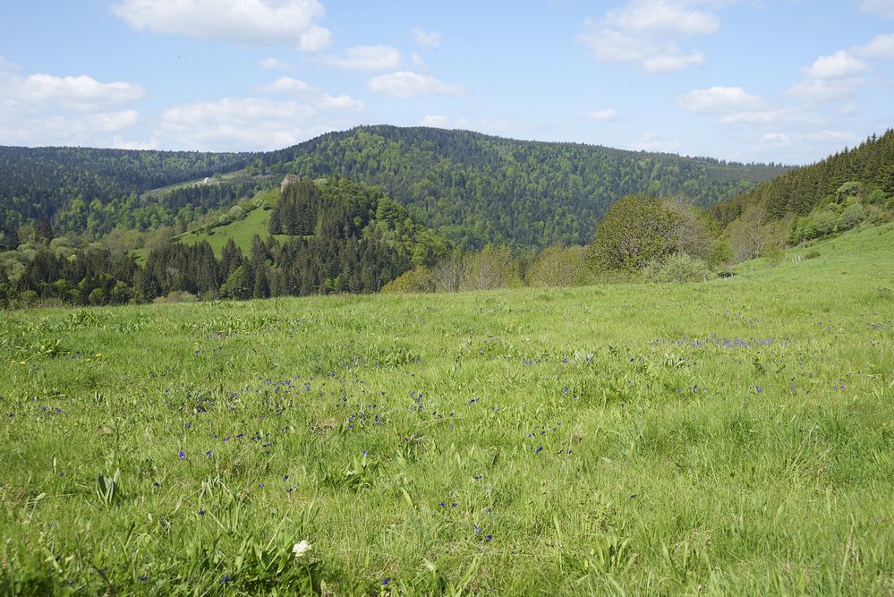 Puy de dôme