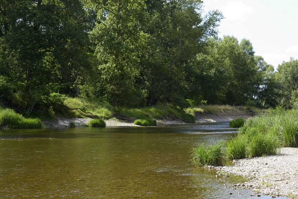 Bras de loire