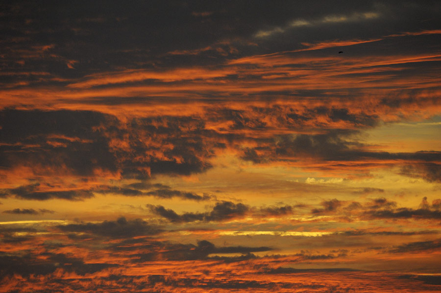 Crépuscule au dessus de la Brenne