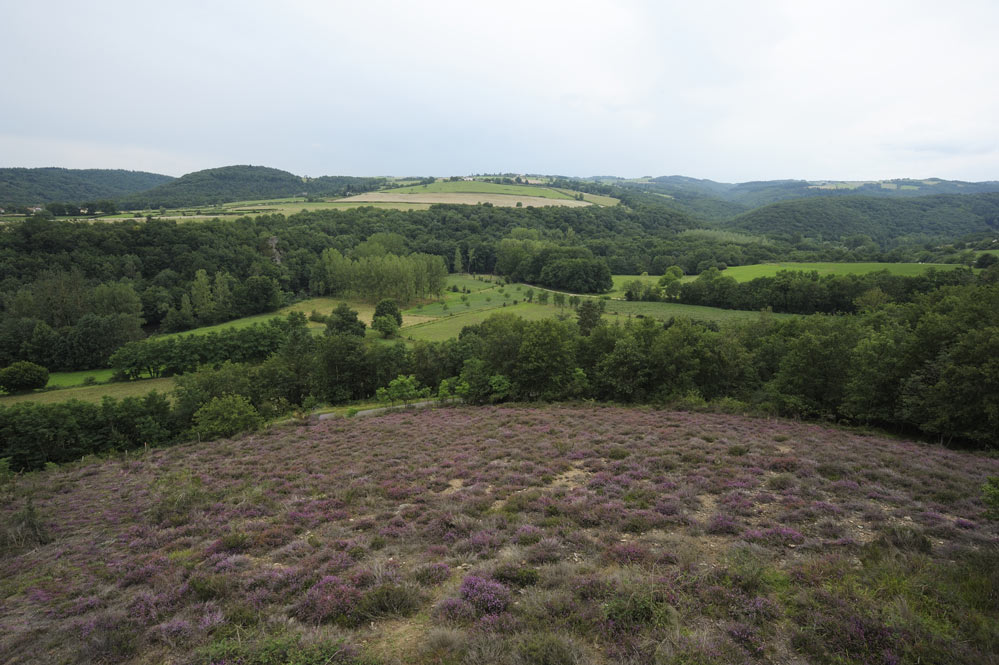 Vallée de la Sioule