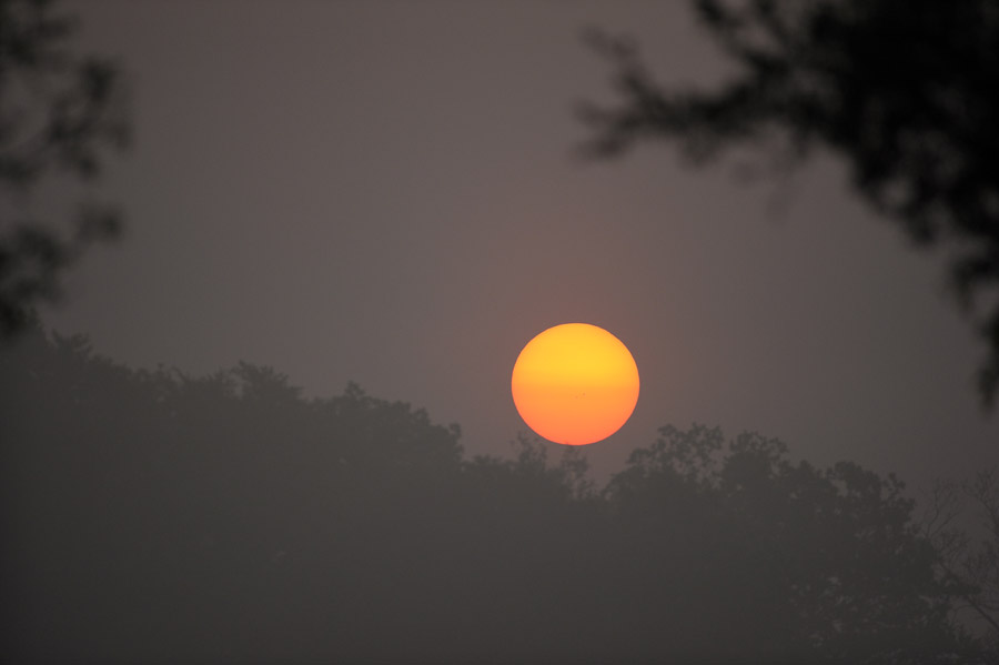 Lever de soleil sur le bocage