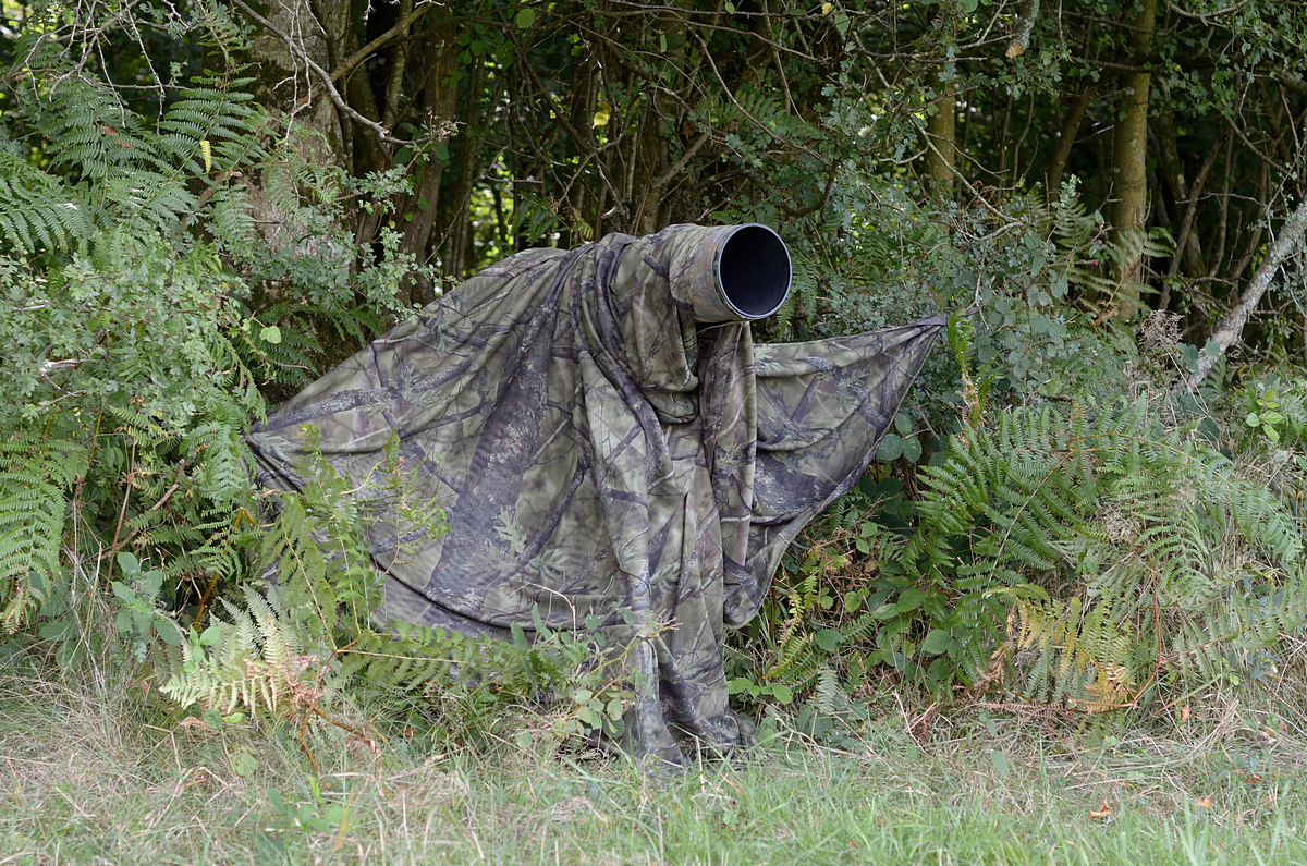 Camouflage en lisière de bois pour affût cervidés.