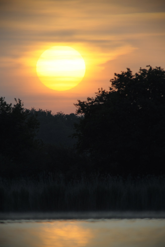 Lever de soleil sur un étang de Brenne