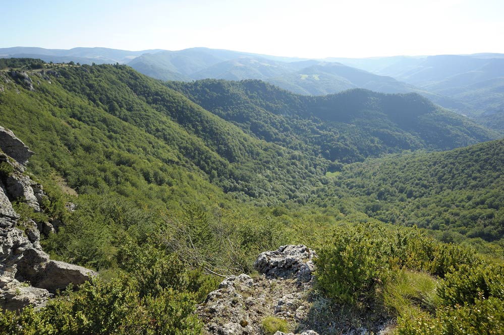 Paysage de cévennes