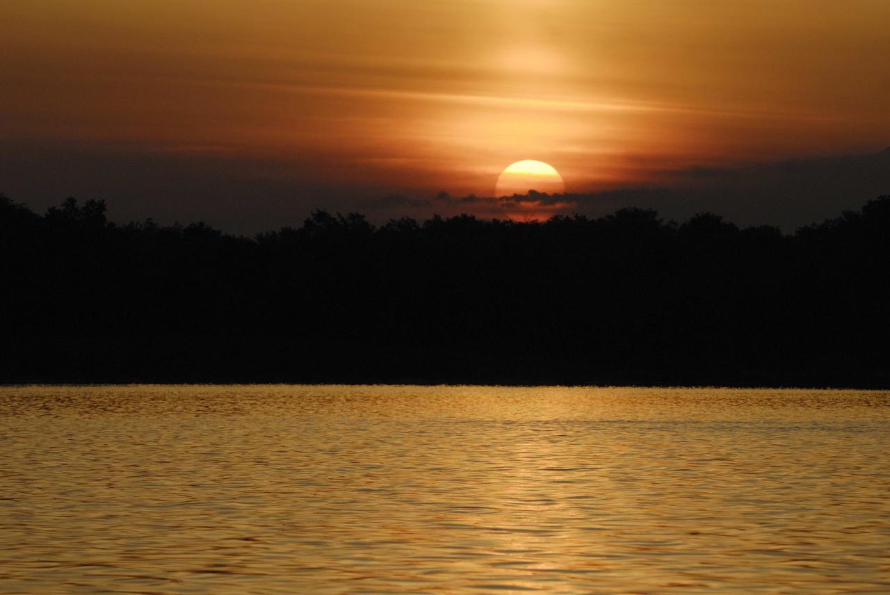 Aube dorée en Brenne